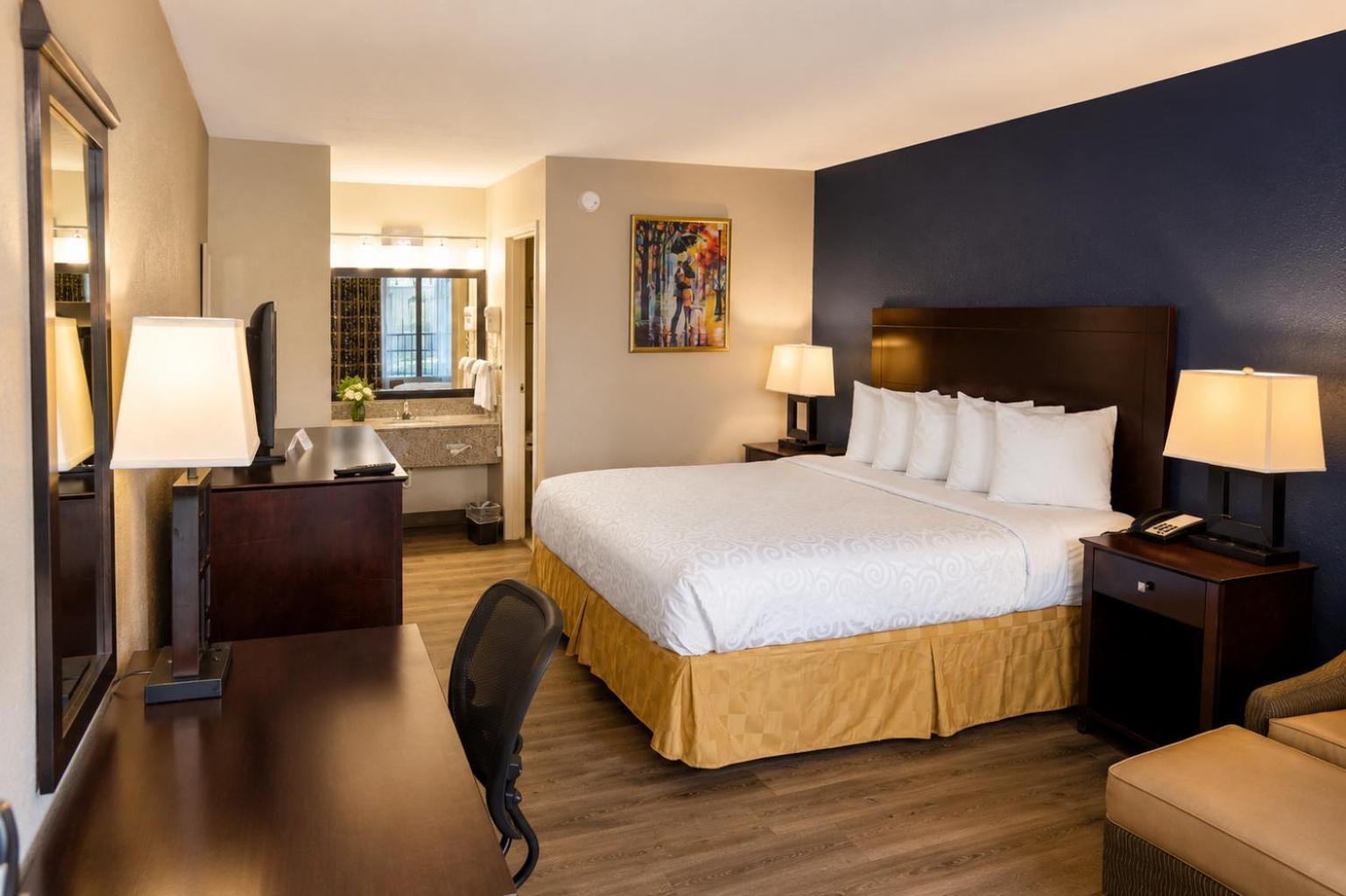 King Room Roll Shower Pet Friendly or Disability Accessible